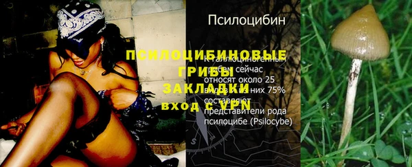 винт Нефтегорск