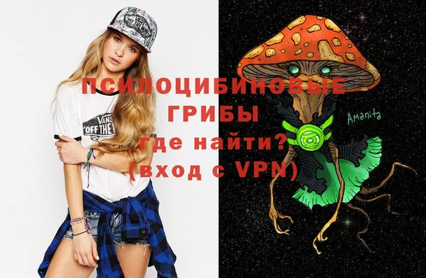 мет Ельня