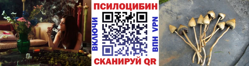 Псилоцибиновые грибы Psilocybine cubensis  дарнет шоп  Новоульяновск 